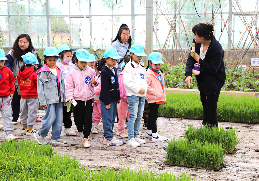 六一兒童節(jié)水稻研學(xué)活動(dòng) (1).jpg